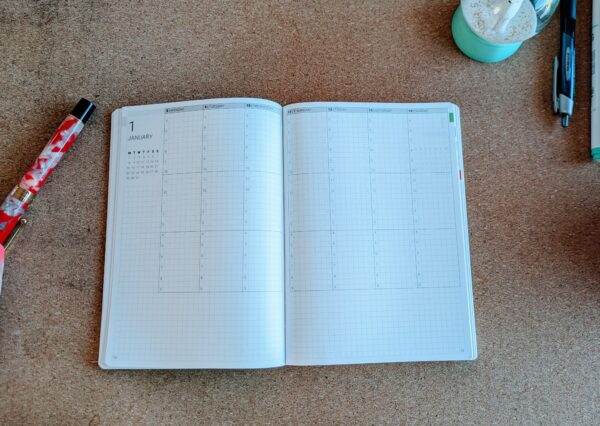 320 pages of dot graph tomoe river paper structured weekly bullet journaling spread
