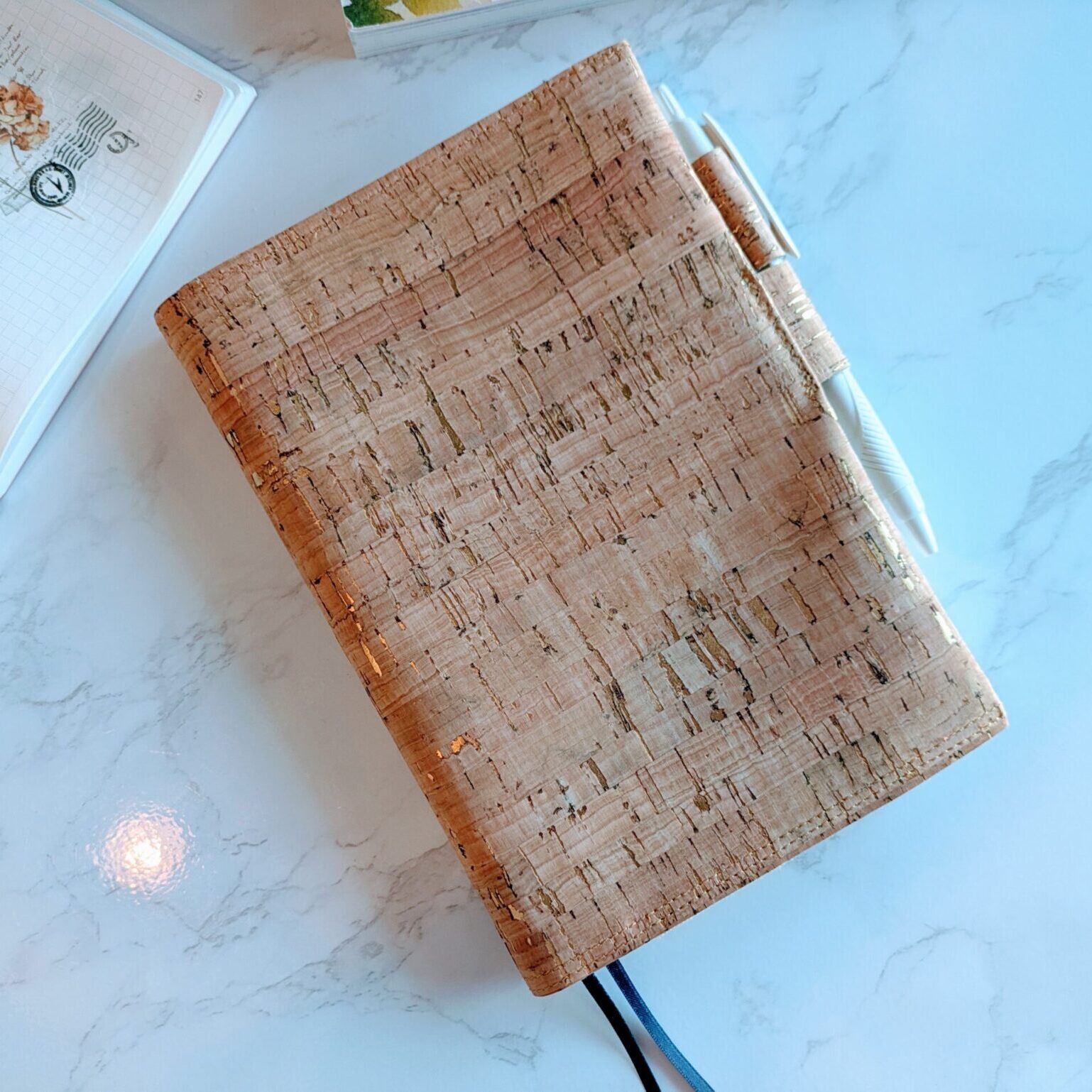 PXL_20241129_181122724