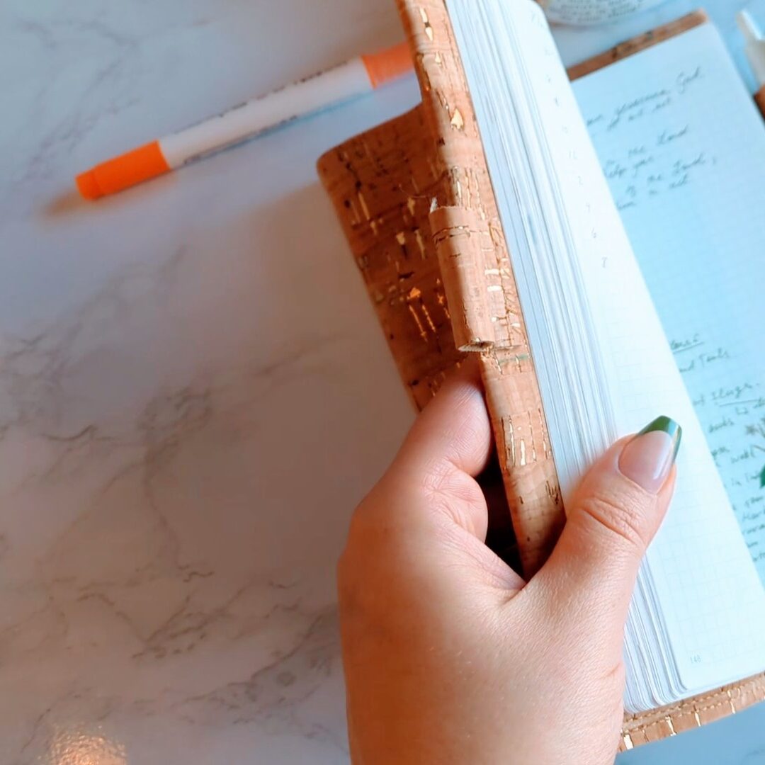 PXL_20241129_183137667.TS_exported_1366